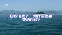白蟻飛光了,為什么還要滅治白蟻?