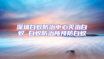 深圳白蟻防治中心滅治白蟻 白蟻防治所預防白蟻