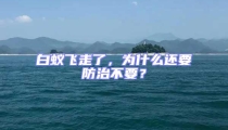 白蟻飛走了,為什么還要防治不要?