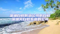 深圳白蟻防治公司防白蟻深圳滅白蟻專業的公司