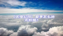 【滅蟲公司】夏季怎么消滅蚊蠅？