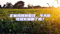 正新雞排被整改，今天你吃到死蟑螂了嗎？