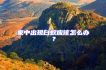 家中出現(xiàn)白蟻應(yīng)該怎么辦？