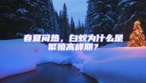 春夏悶熱，白蟻為什么是繁殖高峰期？