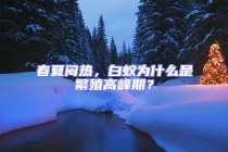 春夏悶熱，白蟻為什么是繁殖高峰期？