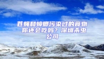 蒼蠅和蟑螂污染過的食物 你還會吃嗎?深圳殺蟲公司