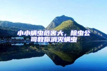 小小螨蟲危害大，除蟲公司教你消滅螨蟲