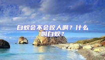 白蟻會不會咬人??？什么叫白蟻？