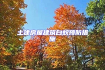 土建房屋建筑白蟻預防措施