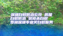 深圳白蟻防治公司 房屋白蟻防治 裝修殺白蟻  羅湖深圳專業(yè)滅白蟻服務