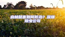 森林鼠害如何防治?深圳除蟲公司