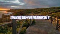 市民該如何預(yù)防白蟻呢?