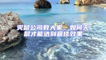 滅鼠公司教大家,如何滅鼠才能達到最佳效果