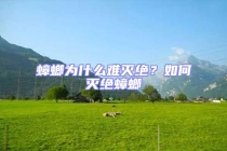 蟑螂為什么難滅絕？如何滅絕蟑螂