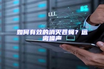 如何有效的消滅蒼蠅？遠離噪聲