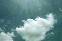 防治白蟻：成熟的蟻群會產生大量的繁殖蟻進行分群