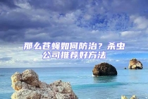 那么蒼蠅如何防治？殺蟲公司推薦好方法