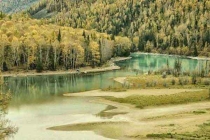 深圳殺蟲公司給你最專業的殺蟲服務