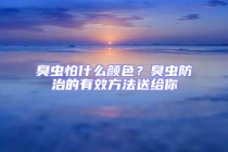 臭蟲怕什么顏色？臭蟲防治的有效方法送給你