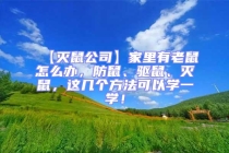 【滅鼠公司】家里有老鼠怎么辦，防鼠、驅鼠、滅鼠，這幾個方法可以學一學！