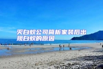 滅白蟻公司簡析家裝后出現白蟻的原因