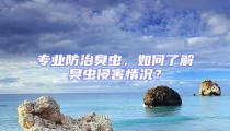 專業(yè)防治臭蟲，如何了解臭蟲侵害情況？