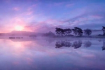 蚊類的化學(xué)防治方法是什么？