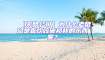 【滅鼠公司】為什么老鼠總是喜歡咬硬邦邦的東西呢?