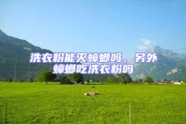 洗衣粉能滅蟑螂嗎，另外蟑螂吃洗衣粉嗎