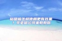 粘鼠板怎樣使用更有效果？滅老鼠公司來(lái)教教你