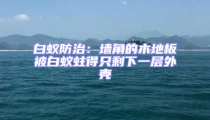 白蟻防治:墻角的木地板被白蟻蛀得只剩下一層外殼