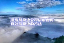 深圳殺臭蟲公司講解如何有效殺臭蟲的方法