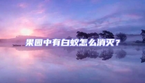 果園中有白蟻怎么消滅?
