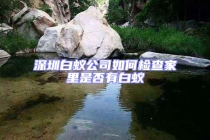 深圳白蟻公司如何檢查家里是否有白蟻