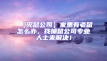 【滅鼠公司】家里有老鼠怎么辦,找捕鼠公司專業(yè)人士來解決!