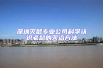 深圳滅鼠專業公司科學認識老鼠的滅治方法