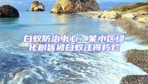 白蟻防治中心:某小區綠化樹皆被白蟻注得朽爛