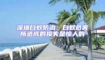深圳白蟻防治:白蟻危害所造成的損失是驚人的