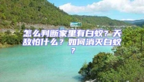 怎么判斷家里有白蟻?天敵怕什么?如何消滅白蟻?