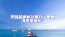 滅鼠藥哪種效果好？是毒餌還是蠟塊？