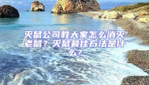 滅鼠公司教大家怎么消滅老鼠？滅鼠最佳方法是什么？