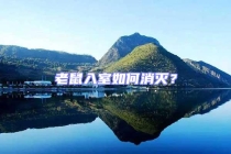 老鼠入室如何消滅？