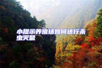 小提示養(yǎng)殖場(chǎng)如何進(jìn)行殺蟲滅鼠