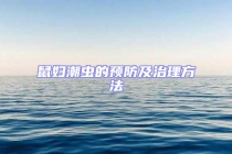 鼠婦潮蟲的預防及治理方法