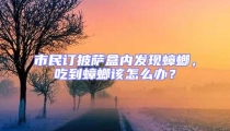 市民訂披薩盒內發現蟑螂，吃到蟑螂該怎么辦？