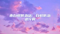 市白蟻防治站:白蟻防治進(jìn)行時(shí)