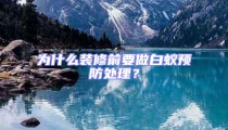 為什么裝修前要做白蟻預防處理?