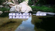 跳蚤怎么消滅？一招教你怎么消殺跳蚤