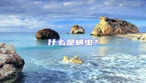 什么是螨蟲?