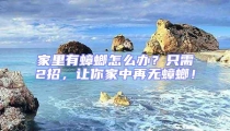 家里有蟑螂怎么辦?只需2招,讓你家中再無蟑螂!